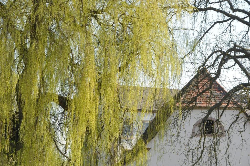 Zeiskamer Muehle Zewnętrze zdjęcie